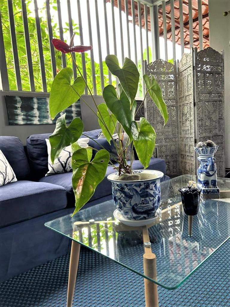 Casa Sophia: Triple Apartment Options with Wi-Fi Guapiles Exterior photo