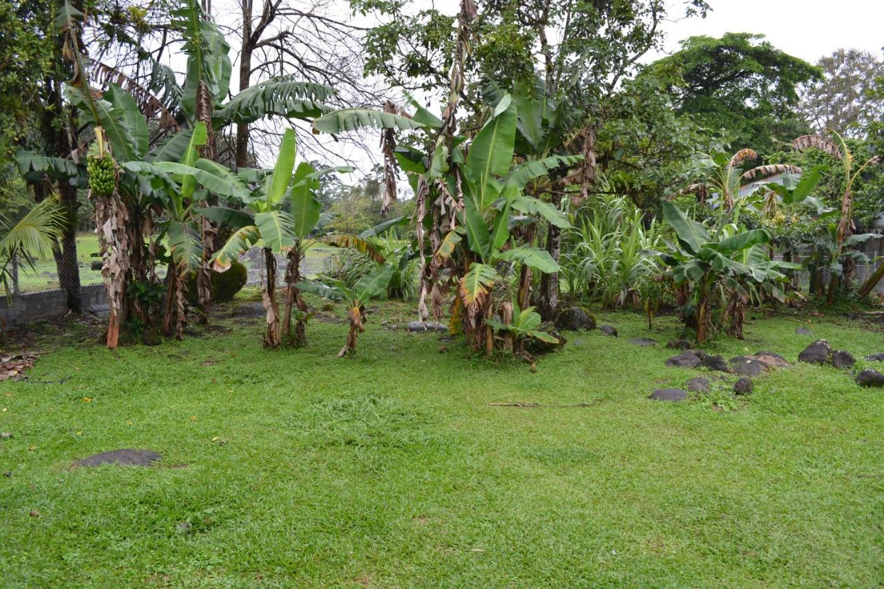 Casa Sophia: Triple Apartment Options with Wi-Fi Guapiles Exterior photo